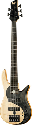 Fodera - Yin Yang 5 Std. Blister Maple Fodera - Yin Yang 5 Std. Blister Maple