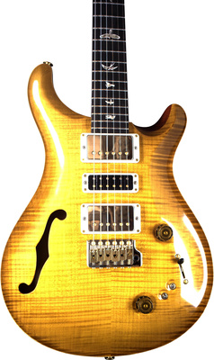 PRS - Special S/H 22 MSB 10 Top