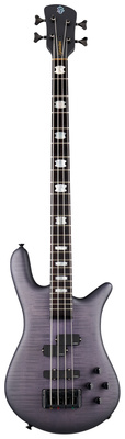 Spector - Euro LX 4 Nightshade matt