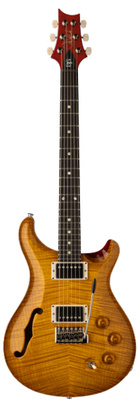 PRS - DGT Semi-Hollow LTD