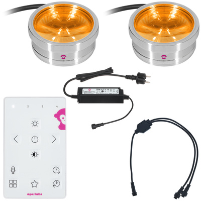 Ape Labs - ApeCoin V2 IP Set of 2