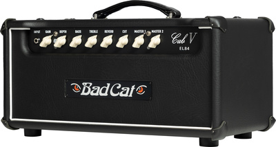 Bad Cat - Cub V EL84 Head