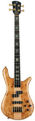 Spector - Euro 4 CST Natural Gloss