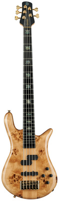 Spector - Euro 5 CST Natural Gloss