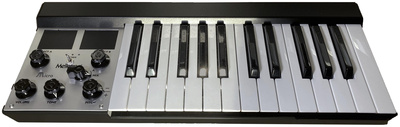 Mellotron - Micro Black