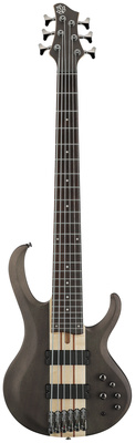 Ibanez - BTB606-TGF