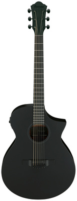 Ibanez - AEWC621-BOT