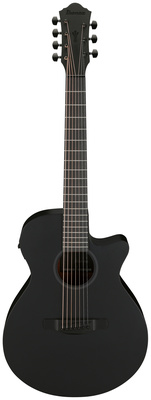 Ibanez - AEG721-BOT