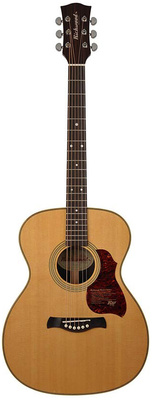 Richwood - A-65-VA Master Series