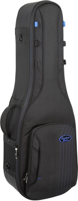 Reunion Blues - Exp Double El. Guitar Gig Bag