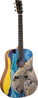Martin Guitar - D Bioshpere III