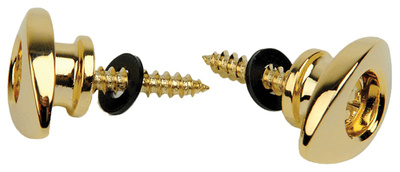 Daddario - PWEEP302 Elliptical EndPins GD