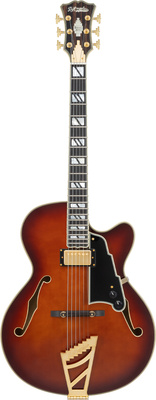 DAngelico - Excel 16 Amaretto Burst