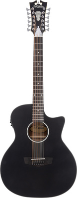 DAngelico - Premier Fulton LS Matte Black