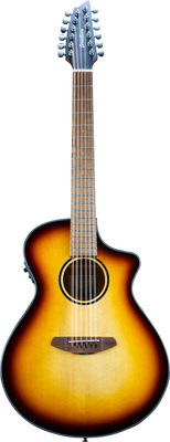 Breedlove - Discovery S Conc 12-St CE EB