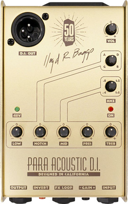 L.R.Baggs - Para DI Gold Edition