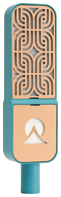 Ohma World - Motif Ribbon Teal & Apricot