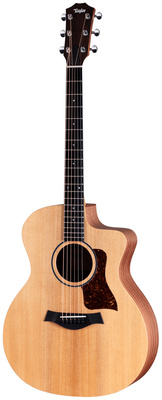 Taylor - 14ce