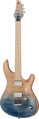 Mayones Guitars - Regius Core 6 AMH Mayones Guitars - Regius Core 6 AMH