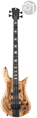 Spector - Euro 4 CST Spalted Maple Ltd