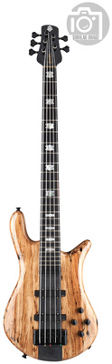 Spector - Euro 5 CST Spalted Maple Ltd