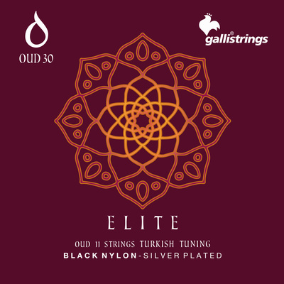 Galli Strings - OUD30 Turkish Tuning BN Galli Strings - OUD30 Turkish Tuning BN