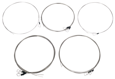 Svaram - Svaraveena Strings Set