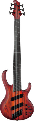 Ibanez - BTB866MS-BRF