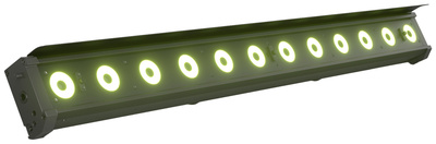 Cameo - ROOT BAR BAT