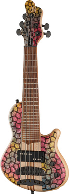 Mayones Guitars - Cali 5 Custom Rainbow