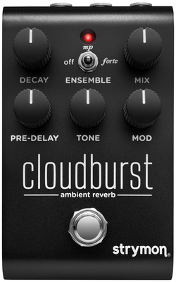 Strymon - Cloudburst Midnight Reverb LTD