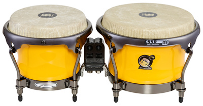 Meinl - Artist Alexandra Alban Bongos