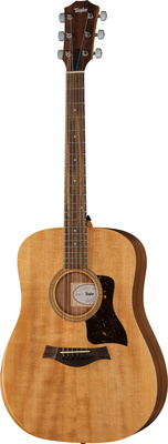 Taylor - Academy 10e Walnut/Eucalyptus