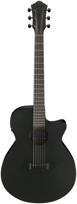 Ibanez - AEG621-BOT