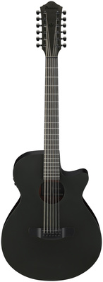 Ibanez - AEG1221-BOT