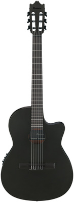Ibanez - GA621-BOT