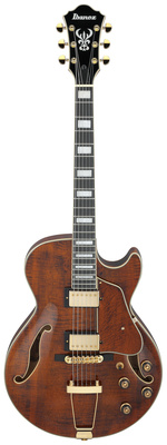 Ibanez - AG95MG-DA