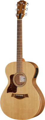 Taylor - Academy 12e LH Wal/Euca