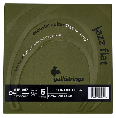 Galli Strings - AJF1047 Acoustic Guitar Str.