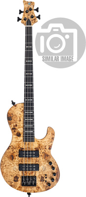 Marcus Miller - F10-4 Natural FL