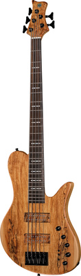 Marcus Miller - F10 Dx 5 NT Marcus Miller - F10 Dx 5 NT