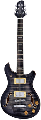 Larry Carlton - Q7 Hollow Transparent Black