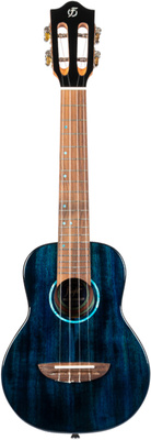 Flight - Iris Tinta Concert TDB