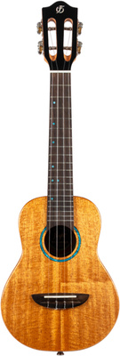 Flight - Iris Tinta Concert NA