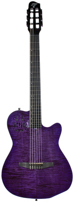 Godin - ACS Nylon Steve Stevens 25th