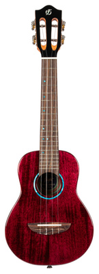 Flight - Iris Tinta Concert TPP