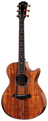 Taylor - C22ce B6041 Custom #41