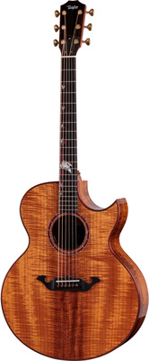 Taylor - C25ce B6005 Custom #5