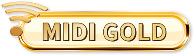 STmusic - MIDI Accordion Gold