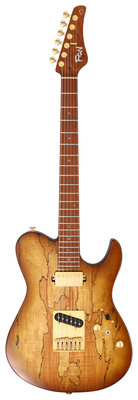 FGN - Expert Iliad EW HCB